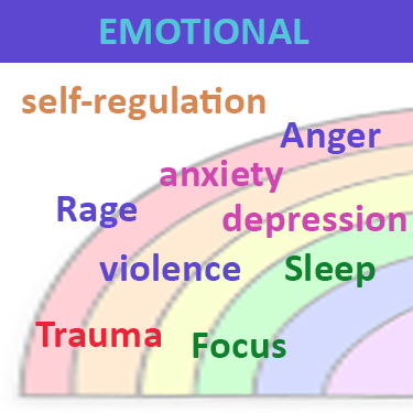 Spectrum of emotional functionality in the autism spectrum including self-regulation, anger, anxiety, depression, rage, violence, sleep, trauma and focus, which can be addressed with neurofeedback