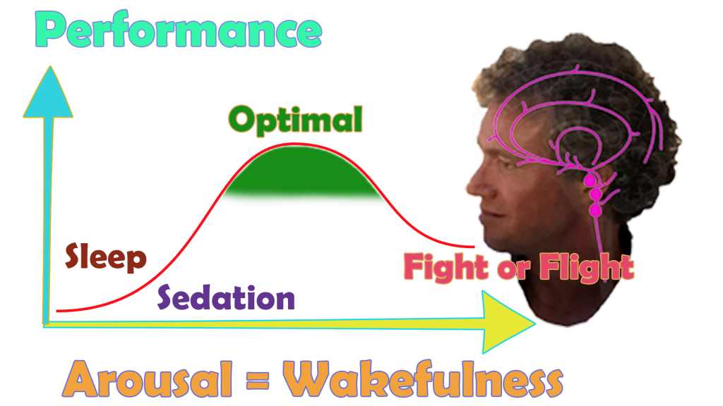 Physiological Arousal curve as a function of Ascending Reticular Activating System, ranging from sedation to fight or flight. This can be trained with neurofeedback