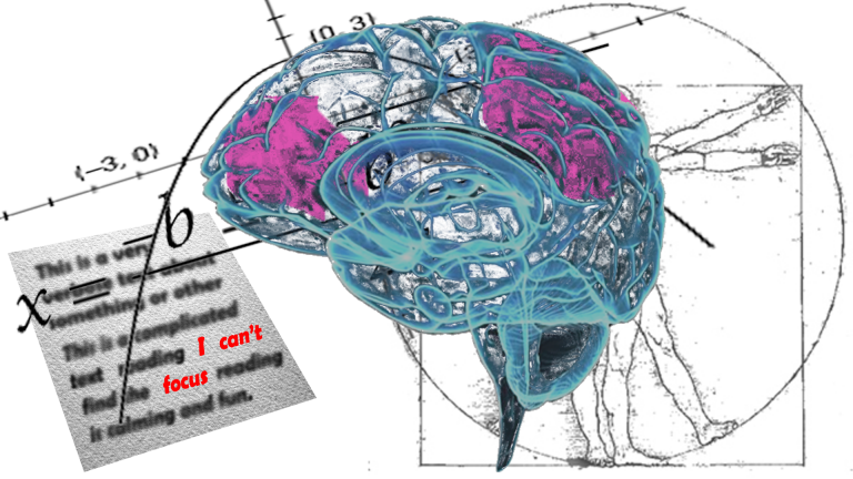 Reading, dyslexia, math computation and focus are governed by prefrontal and parietal areas of the human cortex and can be trained with neurofeedback