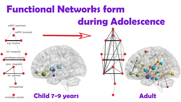 Default Mode Network growth from kids to adults linked to increased functional connectivity