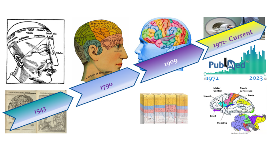 Evolution of our understanding of brain area functions, from Versalius via Gall to Brodmann areas researched with pubmed