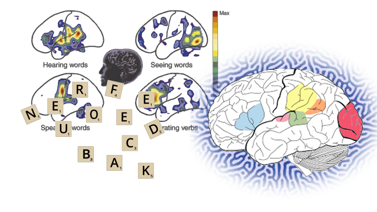 Dyslexia and speech production can be transformed with neurofeedback training