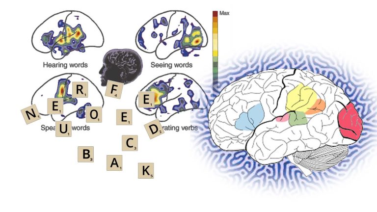 Neurofeedback is effective for dyslexia