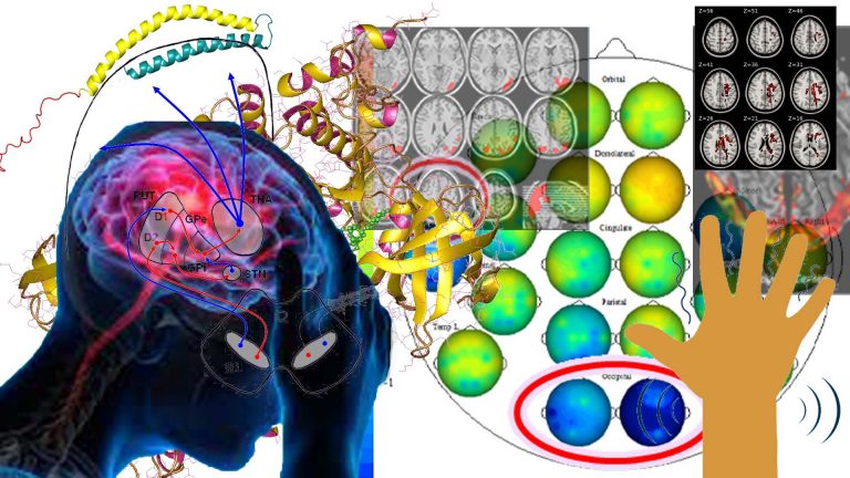 Neurofeedback and brain maps can detect neurodegenerative conditions in early, pre-prodromal stages and provide amelioration with Alzheimer's, Parkinson's, Multiple Sclerosis, Huntington's and ALS