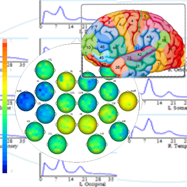 Kaiser Neuromap brain maps and Brodmann areas